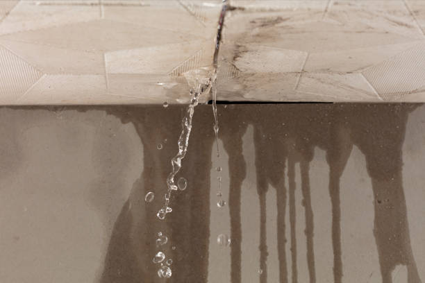 Professional Burst Pipe Cleanup technician working in Nickerson, NE